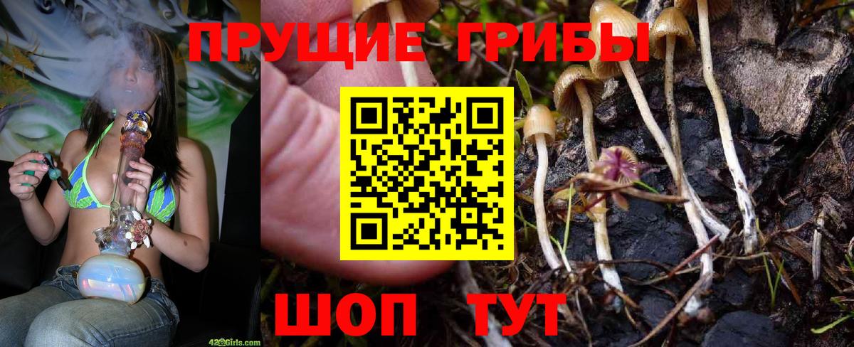 Псилоцибиновые грибы мухоморы Азов
