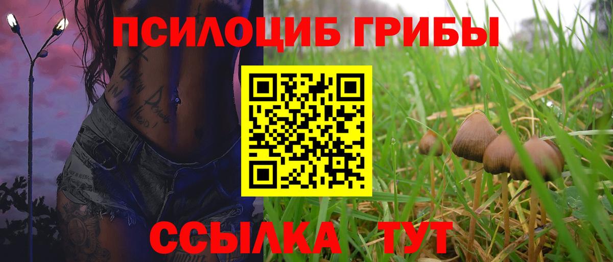 Псилоцибиновые грибы GOLDEN TEACHER  Галлюциногенные грибы Magic Shrooms  Азов  Вход с VPN 